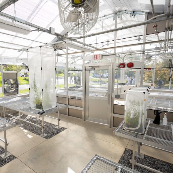 Nancy Jean Stump Seiger ’54 Botanical Research Center Kutztown University